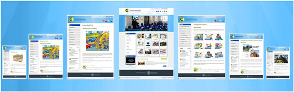 Aula Virtual Offline.