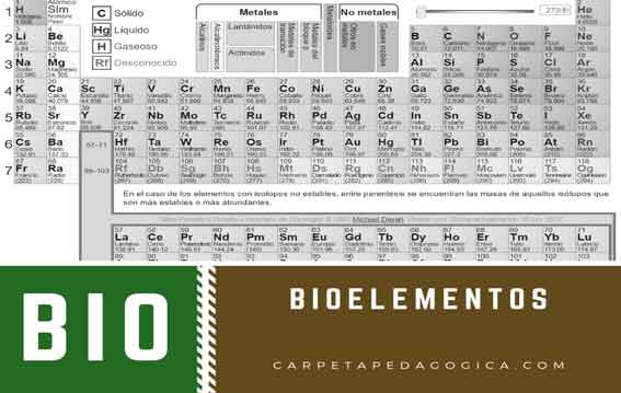 Bioelementos