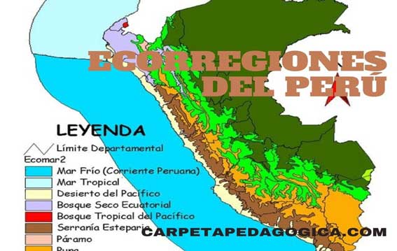 Ecorregión Selva Alta