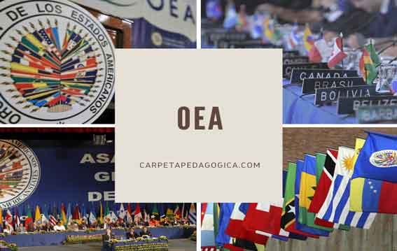 Organización de Estados Americanos (OEA)