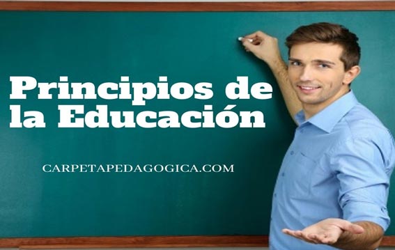 Principios de la Educación Básica Regular