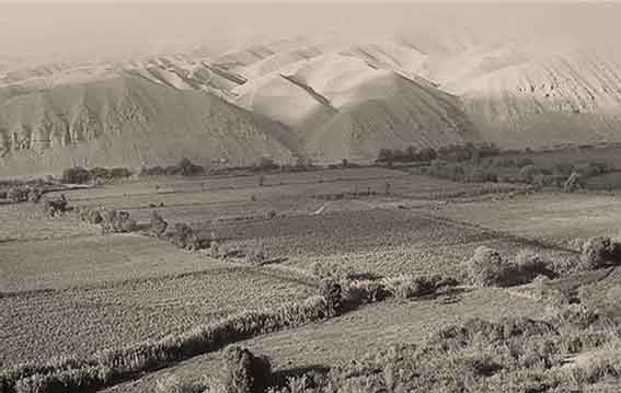 Valles de la Costa Peruana