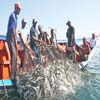 Pesca en el Perú