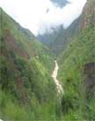 Agricultura de Selva del Perú